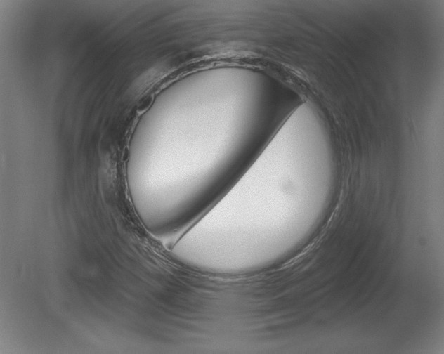 X0000078831257200611130923