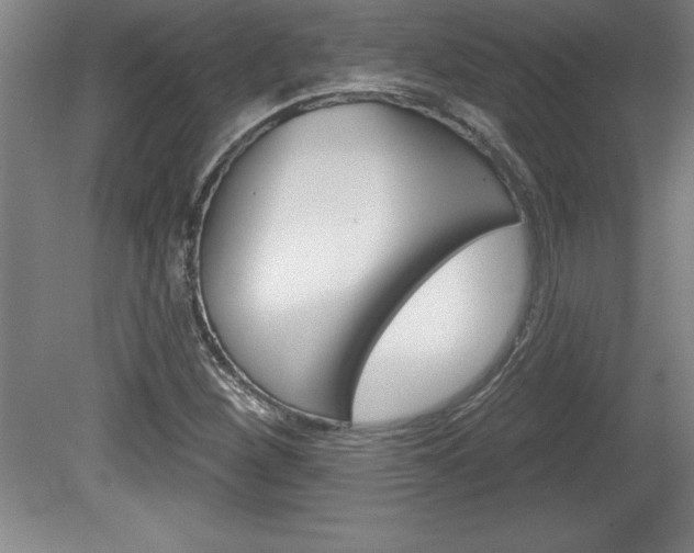 X0000078831260200611130923