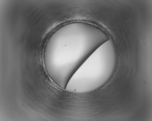 X0000078831262200611130923