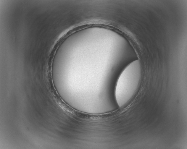 X0000078831264200611130922
