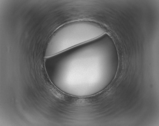 X0000078831265200611130922