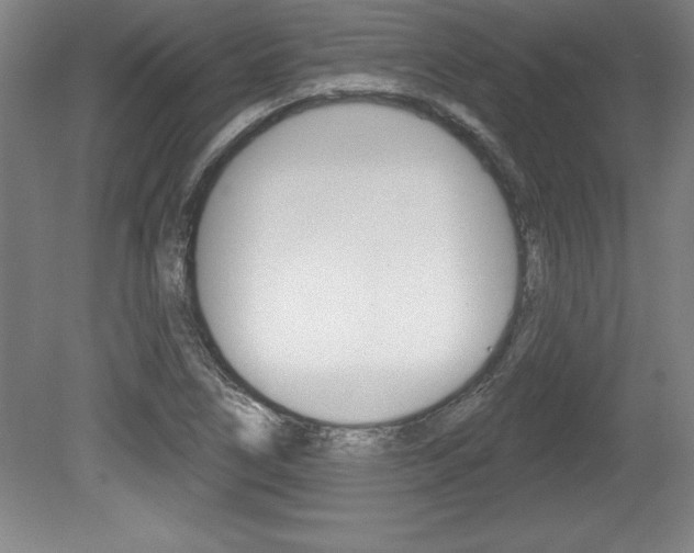 X0000078831266200611130922