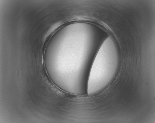 X0000078831269200611130922