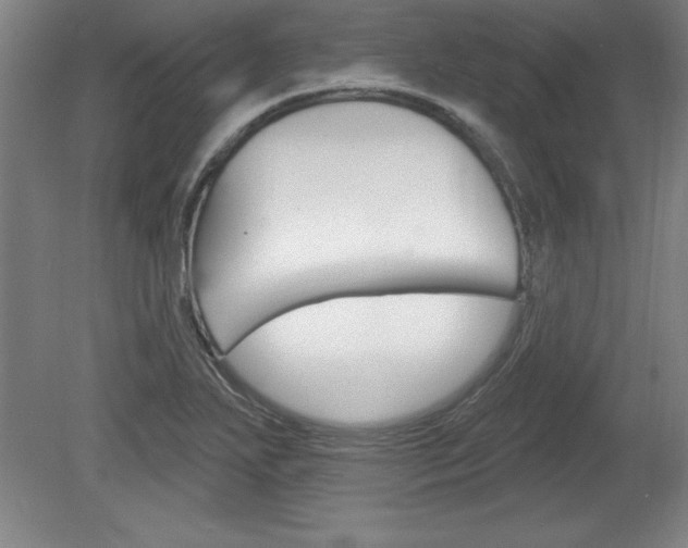X0000078831271200611130922