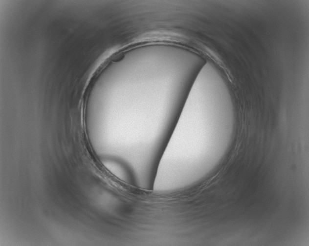 X0000078831275200611130922
