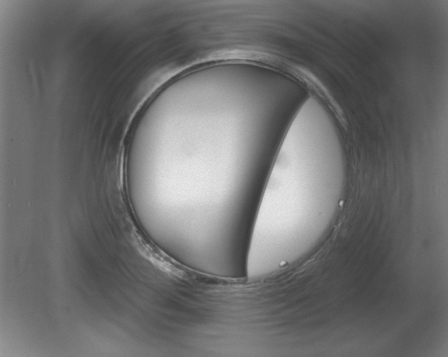X0000078831276200611130922