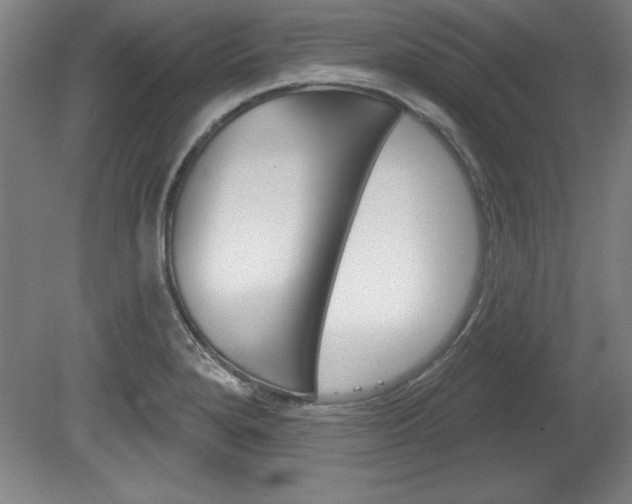 X0000078831280200611130922