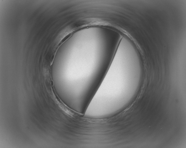 X0000078831281200611130922