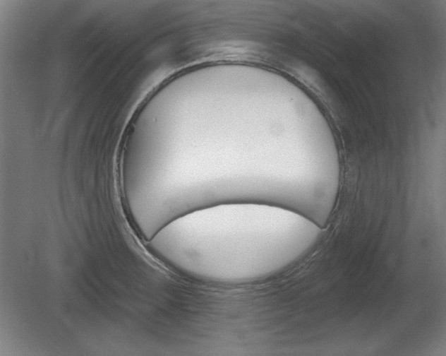 X0000078831283200611130922