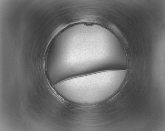 X0000078831284200611130922