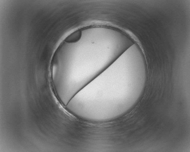 X0000078831287200611130922