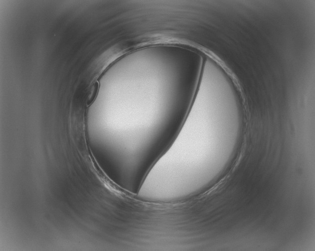 X0000078831289200611130922
