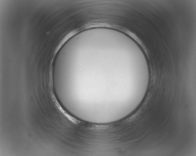 X0000078831290200611130922