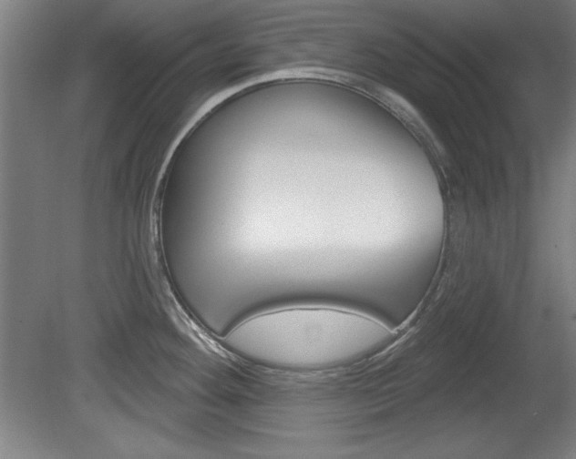 X0000078831292200611130922