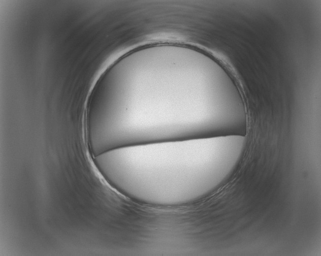 X0000078831295200611130922