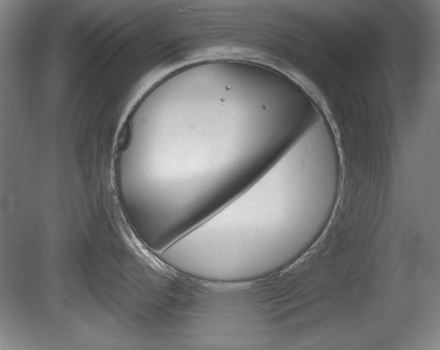 X0000078831296200611130922