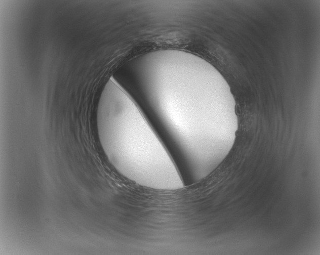 X0000078831297200611130921