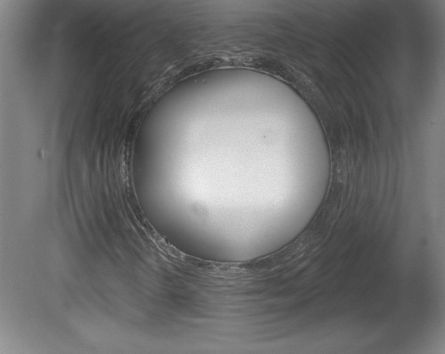 X0000078831298200611130921