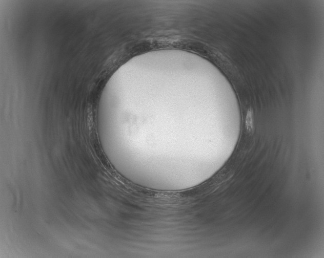 X0000078831299200611130921