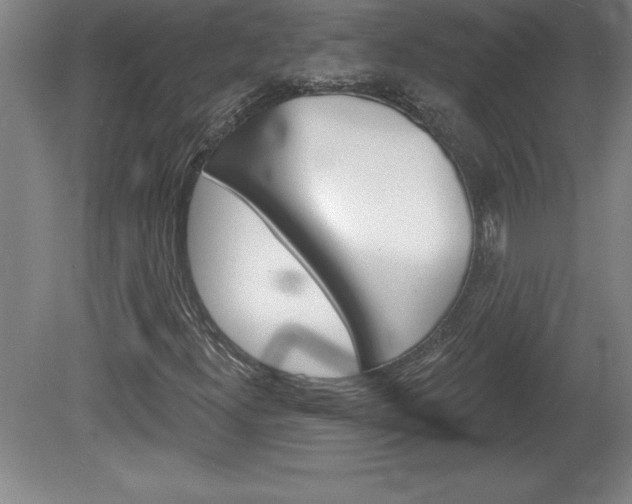 X0000078831300200611130921