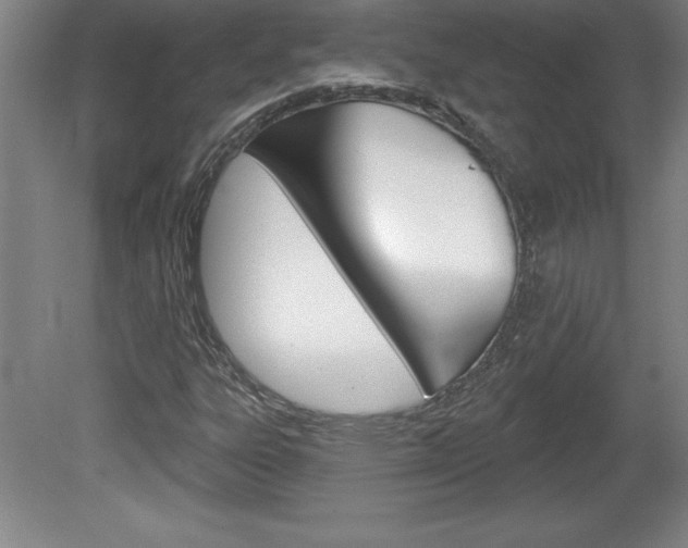 X0000078831303200611130921