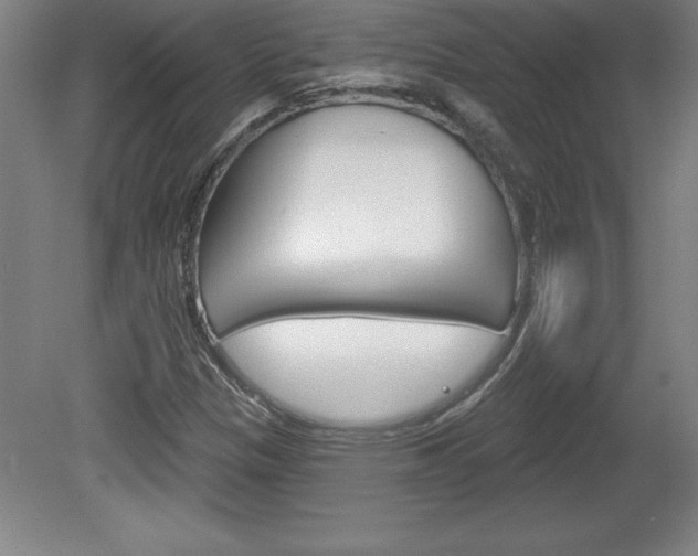 X0000078831305200611130921