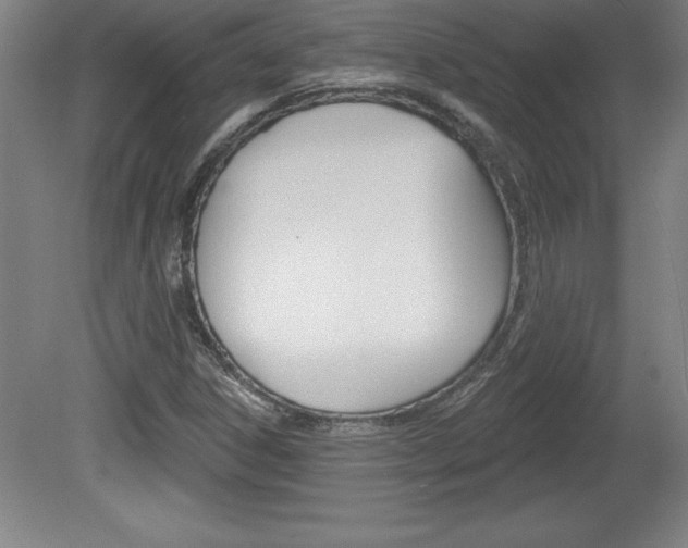 X0000078831306200611130921