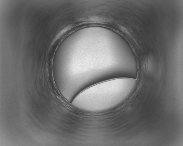 X0000078831307200611130921