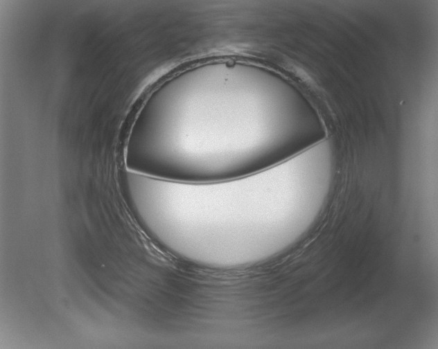 X0000078831308200611130921