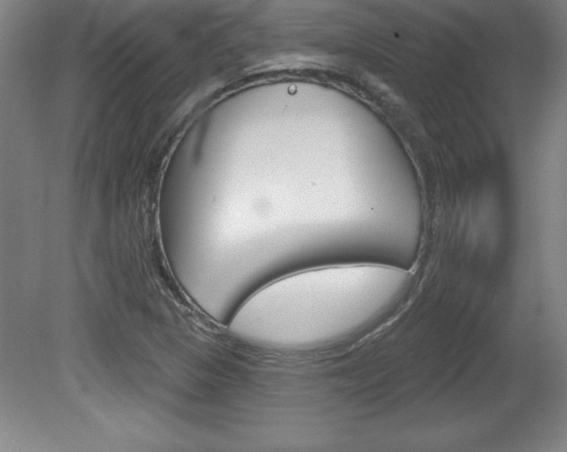 X0000078831313200611130921
