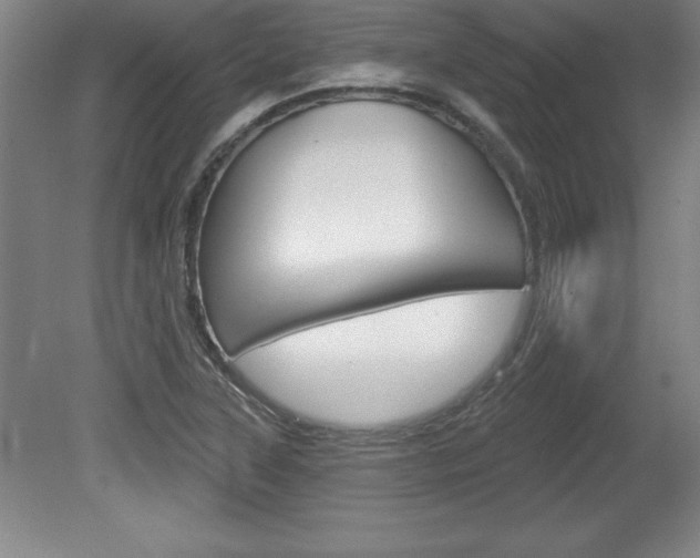 X0000078831315200611130921