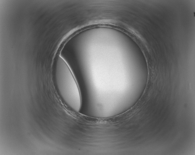X0000078831316200611130921