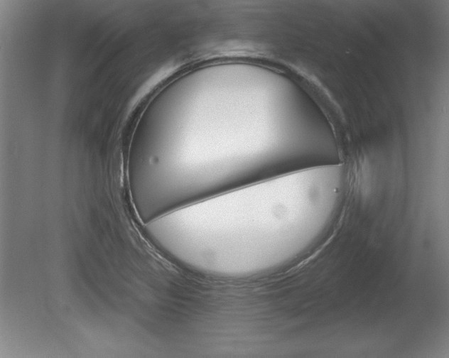 X0000078831317200611130921
