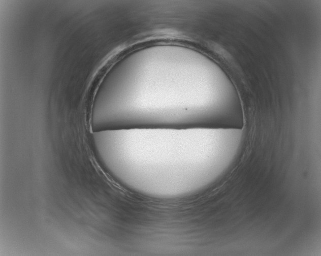 X0000078831318200611130922