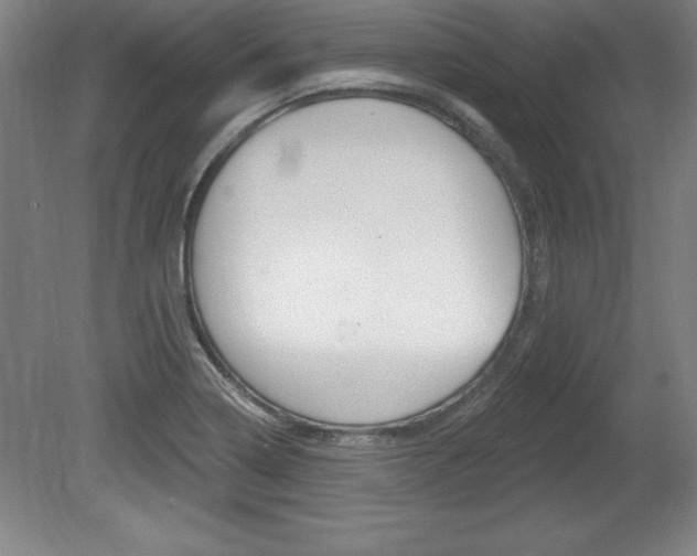 X0000078831322200611130922