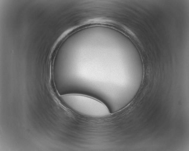 X0000078831323200611130922