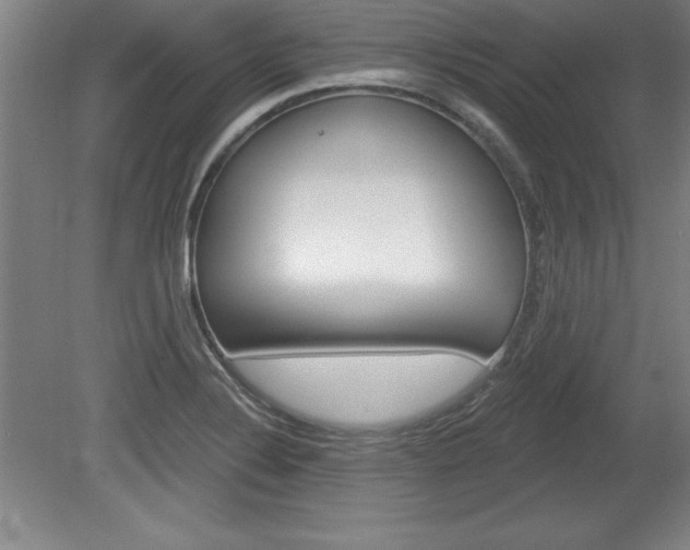 X0000078831324200611130922