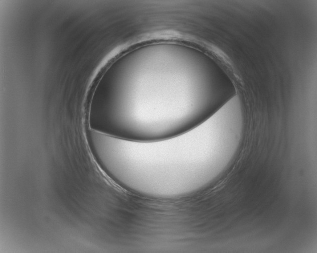 X0000078831326200611130922