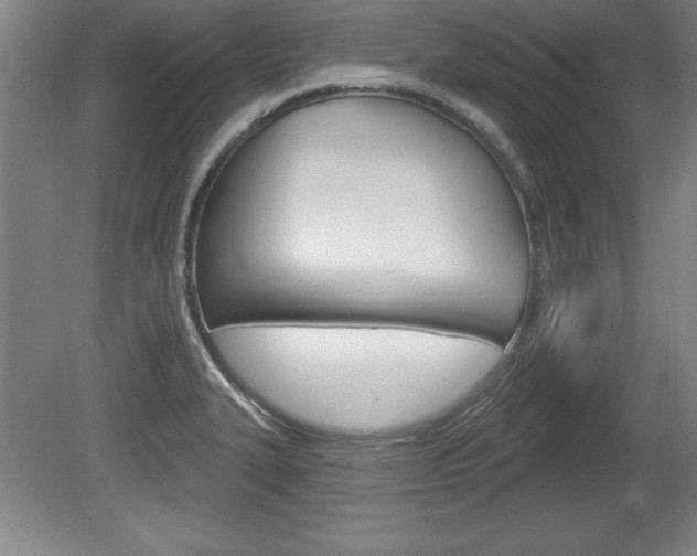 X0000078831327200611130922