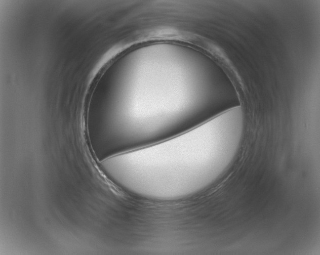 X0000078831328200611130922