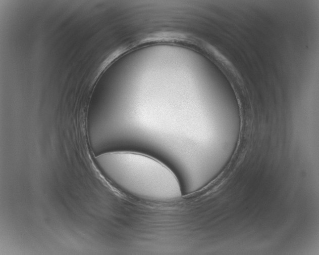 X0000078831329200611130922