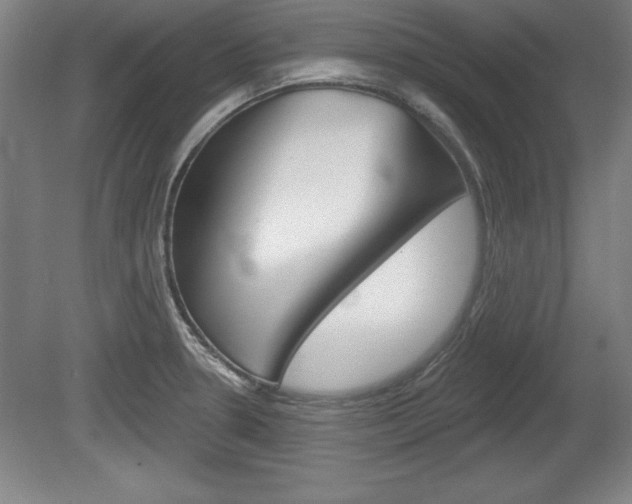 X0000078831330200611130922