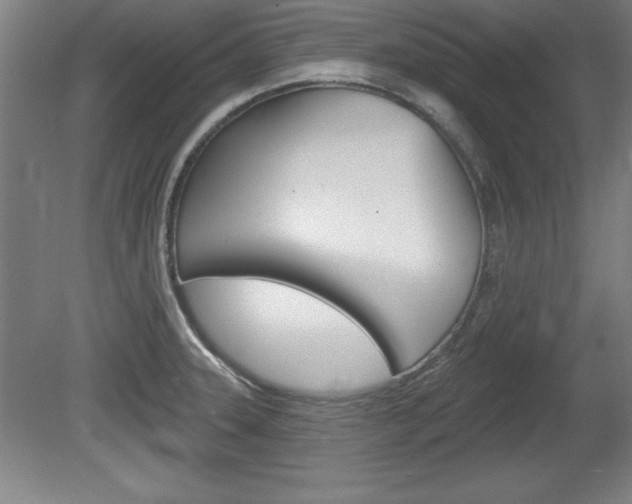 X0000078831331200611130922