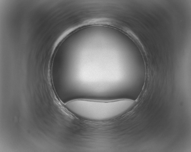 X0000078831336200611130922