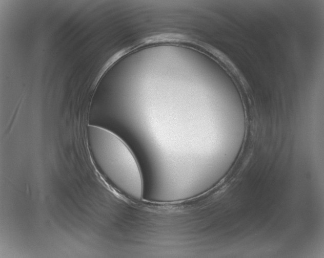 X0000078831337200611130922
