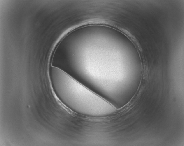 X0000078831342200611130922