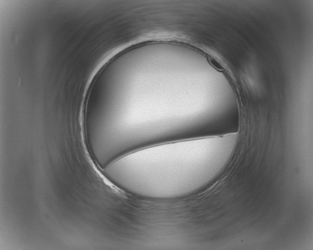 X0000078831343200611130922