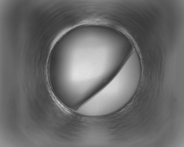 X0000078831344200611130922