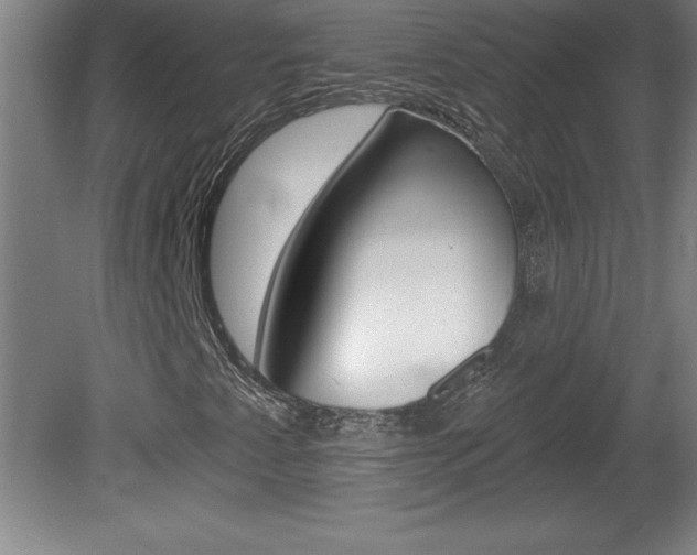 X0000078831345200611130921