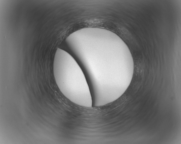 X0000078831346200611130921